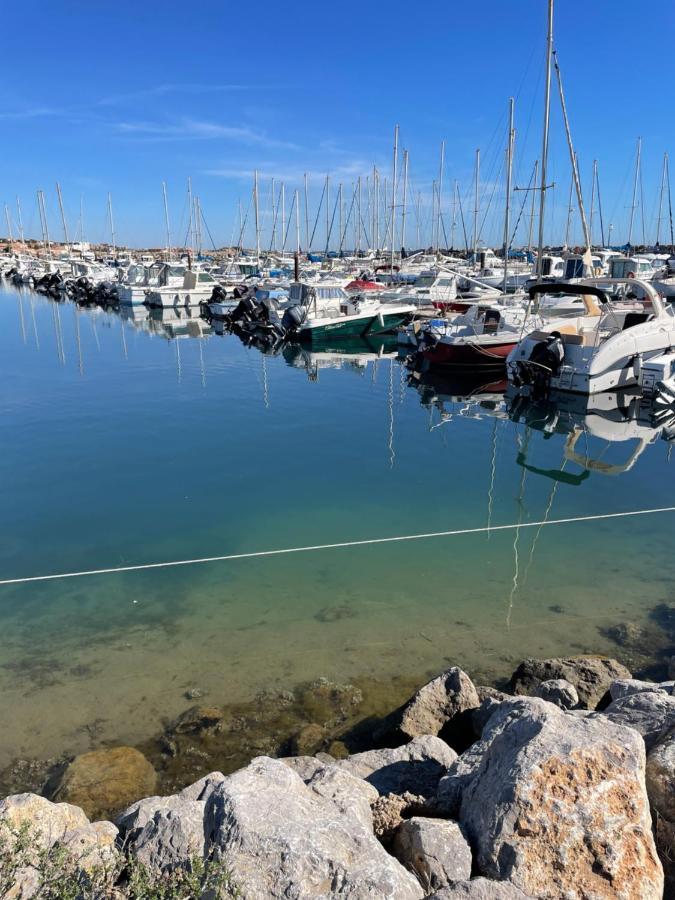 Les Ecuries - 3 Bedroom Gite With Plunge Pool Near Narbonne & The Canal Du Midi Saint-Nazaire-d'Aude Exteriör bild