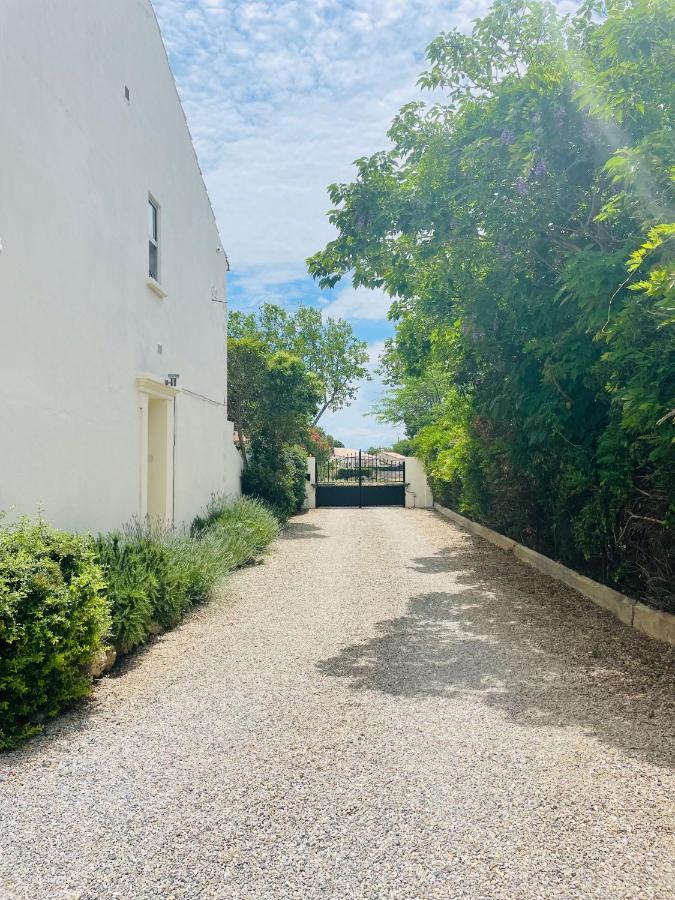 Les Ecuries - 3 Bedroom Gite With Plunge Pool Near Narbonne & The Canal Du Midi Saint-Nazaire-d'Aude Exteriör bild